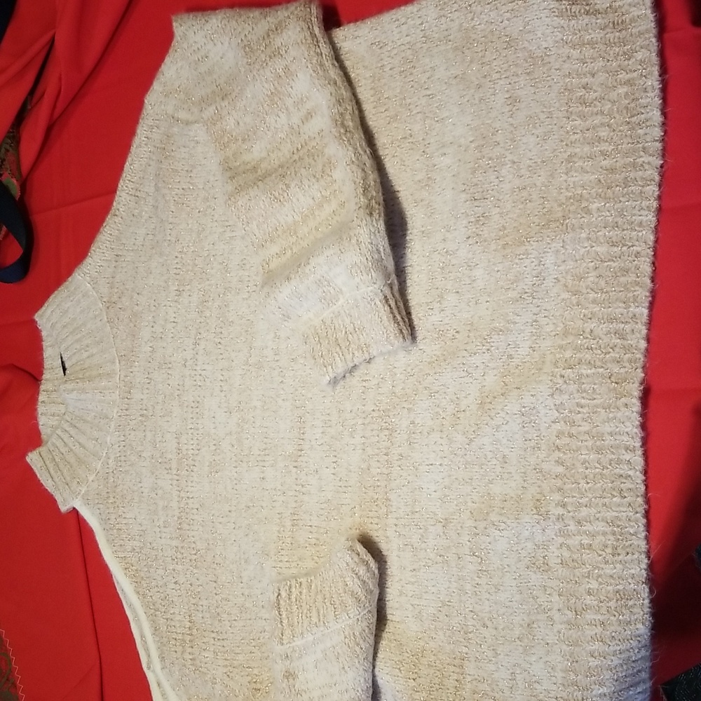 Express brand ladies sweater